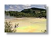 wot-palette3-10x15.jpg