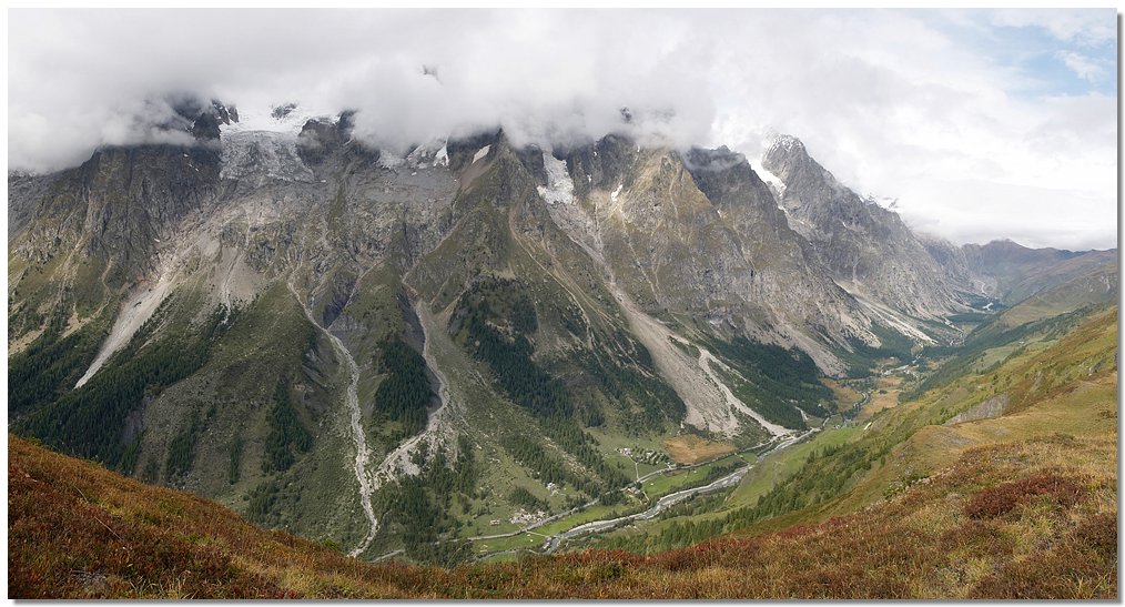 val_ferret.jpg