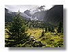 col_de_tricot1.jpg