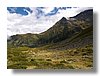col_de_tricot2.jpg