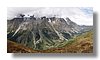 val_ferret.jpg