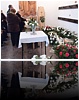 P2018117.jpg
