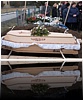 P2018174.jpg