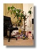 PC242254.jpg