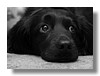 c_PA231525.jpg