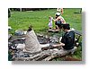 P6309753.JPG